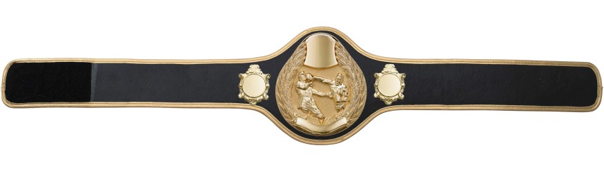 BOXING CHAMPIONSHIP BELT-PRO301/G/BOXG- 10 + COLOURS BOXING CHAMPIONSHIP BELT-PRO301/G/BOXG- 10 + COLOURS